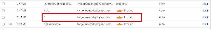 NeetoCal DNS record