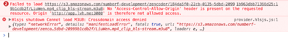 cors error